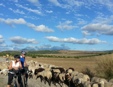 Fiets van Granada naar Ronda via de Route van de Almoraviden