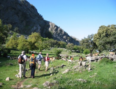 Wandelen door het Natuurpark Grazalema