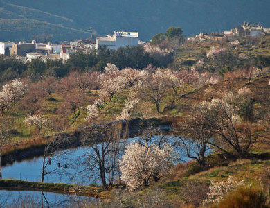 Wandelen “South from Granada” (Alpujarra de la Sierra)