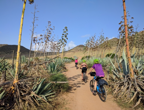 Cycling Cabo De Gata Between Cactus